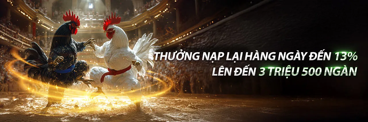 Sân vận động lớn với đèn sáng rực rỡ, thể hiện không khí cá cược thể thao sôi động tại Ricwin