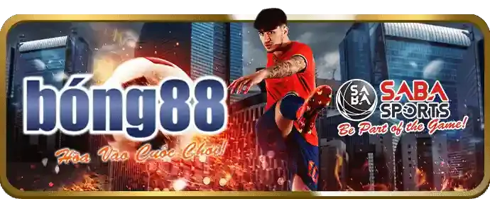 Bảo vệ tài khoản Ricwin của bạn
